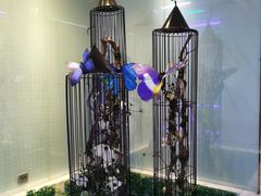 -大四喜火锅(东风路店)