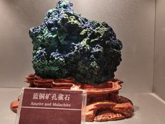 -甘肃地质博物馆