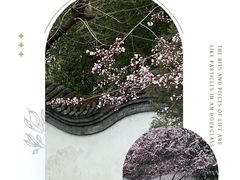 -宣武艺园