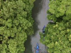 -动邦皮划艇·桨板·独木舟·团建户外运动俱乐部
