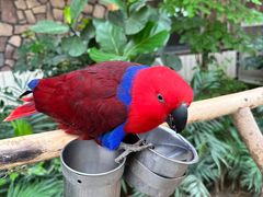 -南宫五洲植物乐园