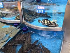 -保定会馆(红旗大街店)