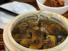 -黄祥华养生堂·炖汤·营养蒸饭(岭南天地店)