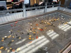 -四季民福烤鸭店(前门店)