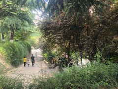 -西安市纺织公园