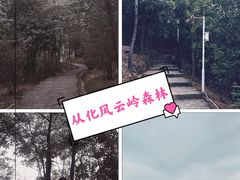 -风云岭森林公园