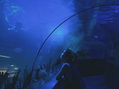 -成都浩海立方海洋公园