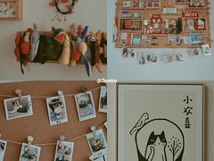 -Catmate·猫肥家润(金润铂宫店)