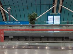 -上海浦东国际机场-T2航站楼
