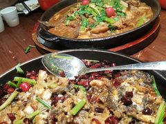 -老板恋上鱼(荣盛广场店)