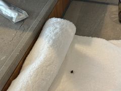 -格兰云天·阅酒店(深圳国际市长交流中心店)
