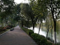 -怡海公园(桂城街道)