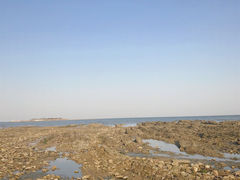 -刘家湾赶海园