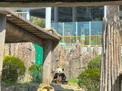 -大连森林动物园