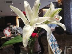 -俏江南天津时尚曲艺主题餐厅(马场道店)