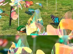 -沈阳奥林匹克体育中心