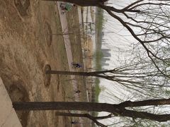 永定河休闲森林公园-永定河休闲森林公园