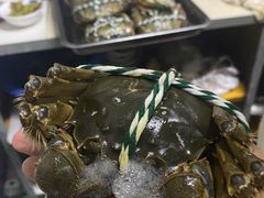 -阳澄湖半岛旅游度假区