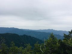 -牛背梁国家森林公园