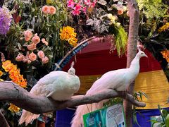 -正佳雨林生态植物园