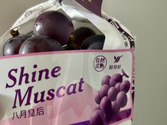 -双福水果批发市场