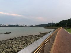 -野狸岛