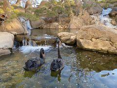 -罗红摄影艺术馆