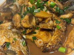 -全乐鱼馆·淳牌有机鱼直营店