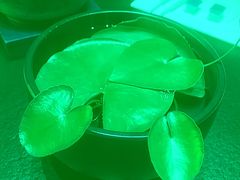 -虹之森·小馆