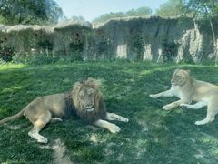 -北京野生动物园