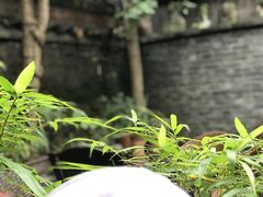 -恺庐茶园(宽窄巷子景区店)
