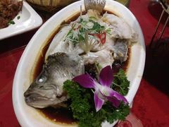 -东北大院·东北菜(三台子店)