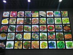 -全乐鱼馆·淳牌有机鱼直营店