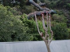 -福道