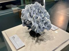 -上海中国航海博物馆