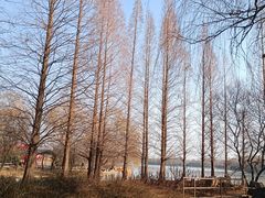-洛阳市隋唐城遗址植物园