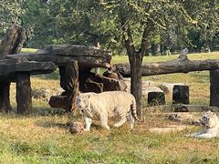 -北京野生动物园