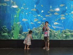 -锦艺城海洋馆