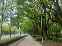 -独墅湖图书馆停车场