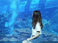 -新加坡海洋生态馆