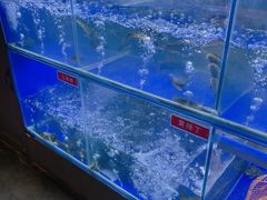 -石锅苗苗鱼(武汉首店)