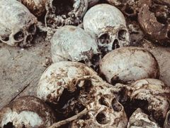 -比如骷髅墙景区