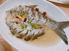 白鱼-红樽舫湖州菜.湖景餐厅(太湖渔人码头店)
