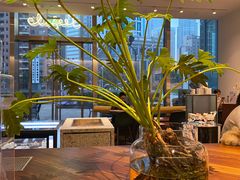 -Seesaw Coffee(上海尚悦湾店)