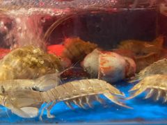 -臻鲜燕海鲜融合餐厅(金陵style店)