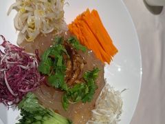 五彩拉皮-大鸭梨烤鸭(甘家口店)