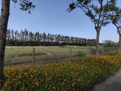 -上海长兴岛郊野公园