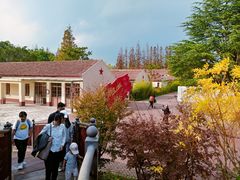 -上海长兴岛郊野公园