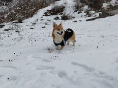 -太子岭滑雪场