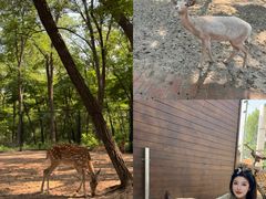 -南戴河国际娱乐中心